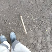 僕らは元気です　(^^)