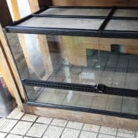 中古 エキゾテラ 爬虫類用ケージ グラステラリウム9045