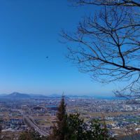 2月17日は、讃岐富士へ。