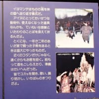 平取町立二風谷アイヌ文化博物館⑥祈る・祝う　イオマンテ（クマの霊送り）