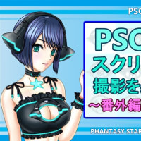 【NGS】スクリーンショット撮影を楽しみましょう（番外編：画面フィルター)