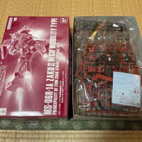 HG シャア専用高機動型ザクⅡ 製作準備