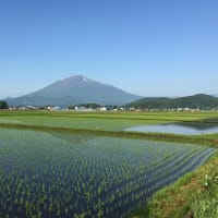 #心からの自由の元