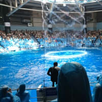 水族館