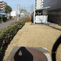 ＃㊶新松戸ファミ－ハイツ理事会各位　清掃員の減少と管理を