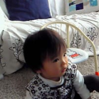 今日も