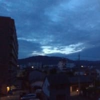 2025年6月7日（土）晴。