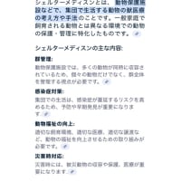 5/18猫ともクラブin富田林　開催します。