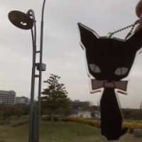 色褪せないデザインの巻☆
