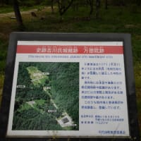大朝町のテングシデ