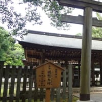 日前神宮・國懸神宮境内に咲く紫陽花