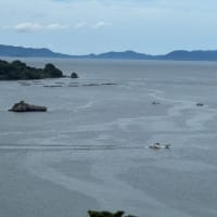 不知火海の風景　曇り編