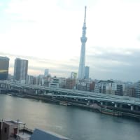 APAホテル