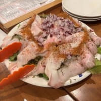 今日の近況