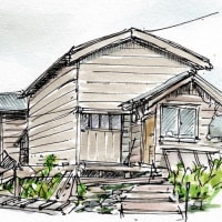 2024　利尻・礼文　沓形岬の小屋