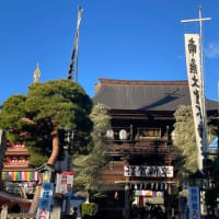 高幡不動尊初詣