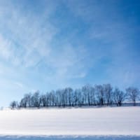 【１２ヶ月の山ぎわの詩　１１月：白銀の大鳥　１２月：稲蔵神道　１月：真冬の言葉】