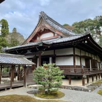 京都 醍醐寺⛩三宝院「心身の浄化に🙏ユネスコ世界文化遺産。」