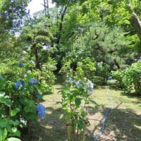 松花堂庭園その１