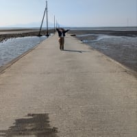 本日重賞競馬レースと旅日記