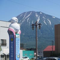 三島さんちの芝桜　俱知安町