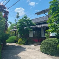 信州そば 登美！