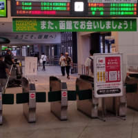 曇り空に助けられた函館マラソン