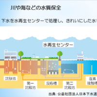これだけは知っておこう！東京の下水道とあなたの排水設備#2023/01/12#日本トイレ研究所