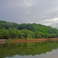 涼月の山上湖風情