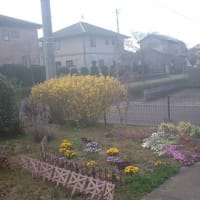 今日は、公園の草刈りを行いました。