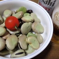 土手の草刈りを（自走式草刈り機にて）