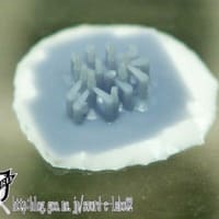 【開発記録】怪生物『ジャハット』製作・２