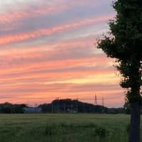 今日の夕焼け