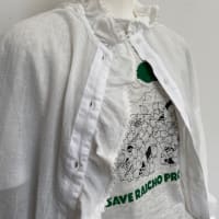 marbleSUD 本日の入荷アイテム！ライチョウTシャツ。コットンリネンビッグパンツ。コーマボイルシャツ