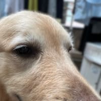 背中やる？