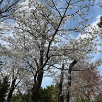 春の日曜日