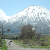羊蹄山 ５月
