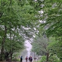 らくらく山歩会　’25 //　5月例会 : 一向平から大休峠往復