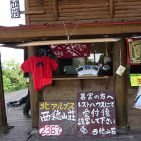 ■あきらめなくて良かった!【西穂高岳】花咲く夏の青空目がけて