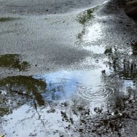 人は溢れると言葉にならない