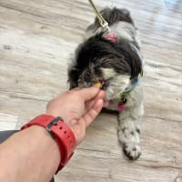 ソーセージの試食会を開催しました！③
