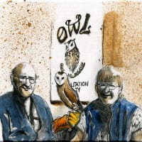 Orphaned BARN  OWL