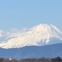 今日いち-2025年2月11日