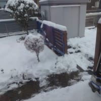 降りました～