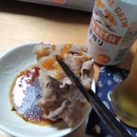 月下美人の第一回目開花2025
