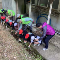 ホタルの幼虫を放流しました！