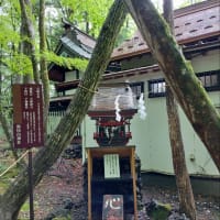 新尾山神社（あらややまじんじゃ）