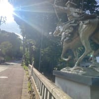 🌟　そっと見守り続けた二人の挙式　🌟