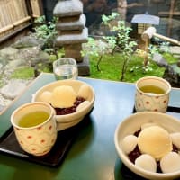 免許証更新。友達とランチへ。義妹からのプレゼント。