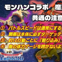 第２回 レア鍵祭 in どりちゅう部